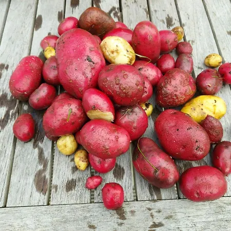 Mara 3* Wendisch Evern