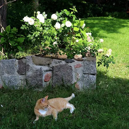 Mara Casa de hóspedes